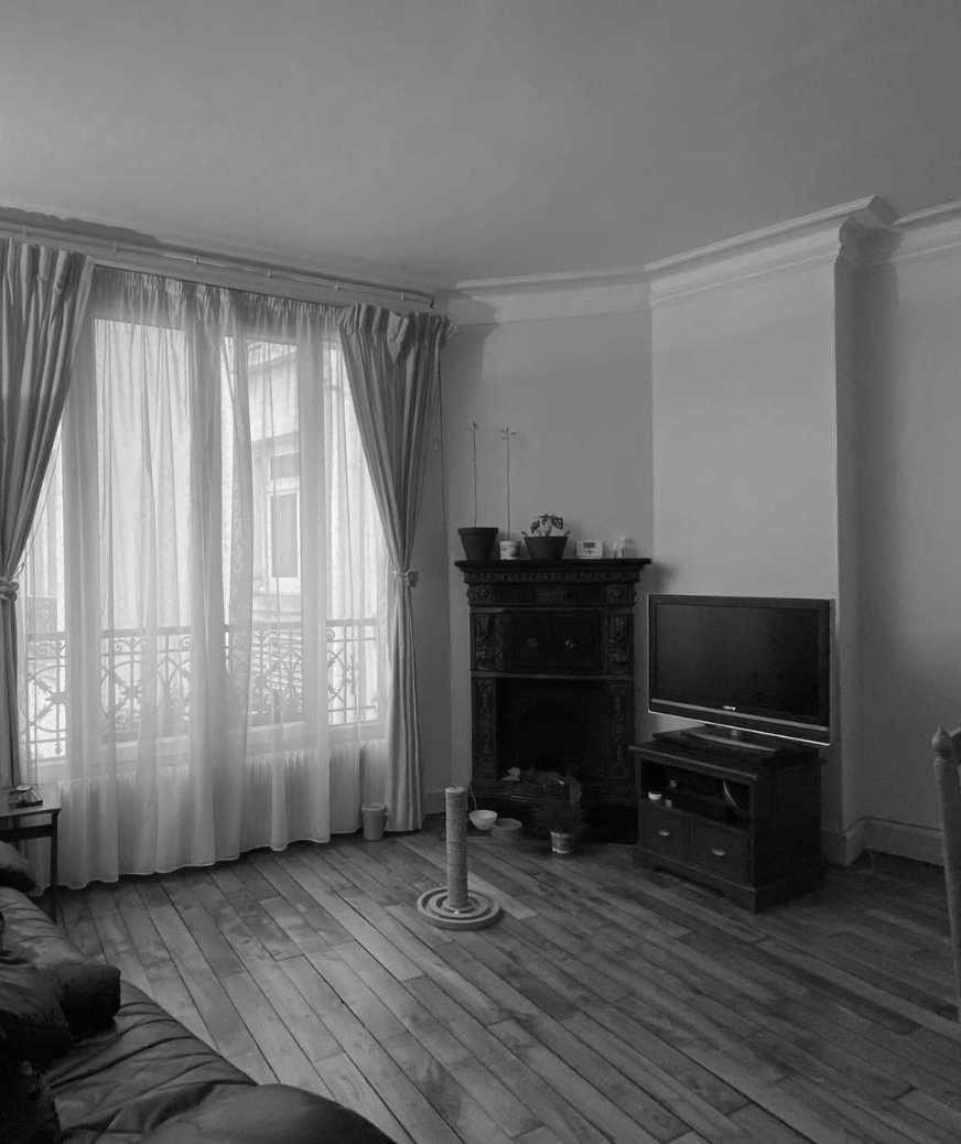 Appartement haussmannien — Paris — avant travaux, vue 2